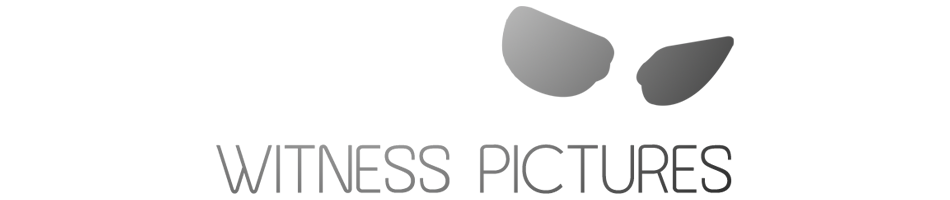 witness pictures modularity lite by graph paper press